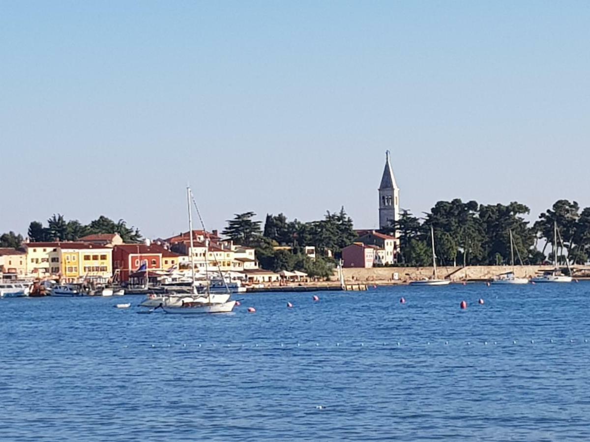 App Mirjana Daire Novigrad Istria Dış mekan fotoğraf